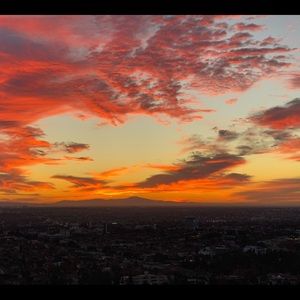 Meet your Posher, Stefanie